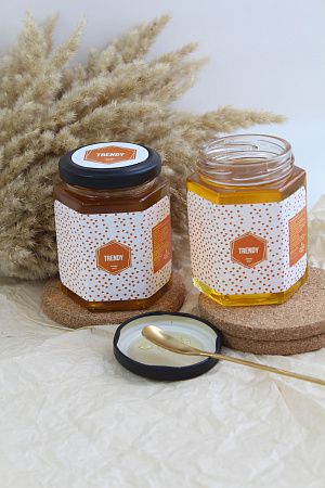 Мёд с логотипом 250 гр. (вкусы в ассортименте) 